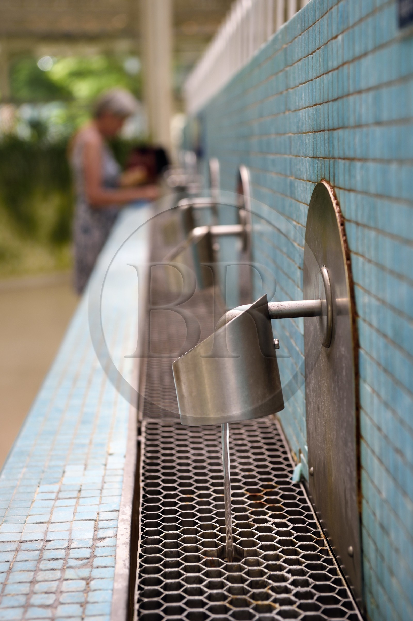 France, Allier (03), Vichy, Hall des Sources appelé aussi la Trinkalle regroupant les quatre sources d'État Grande Grille, Mesdames, Lucas et Chomel