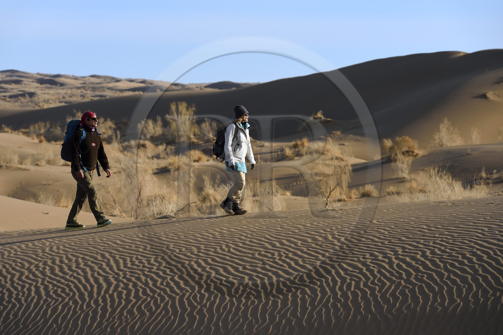 Iran, Province d'Ispahan, désert du Dasht-e Kavir, Mesr dans la région de Khur et Biabanak, randonnée dans les dunes du désert