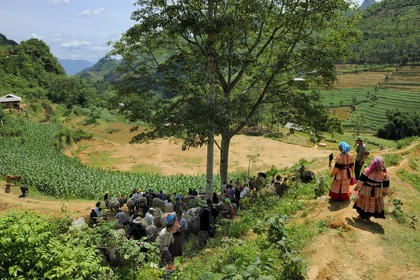 Vietnam, province de Lao Cai, région de Bac Ha, marché de Can Cau, paysans de la minorité Hmong Fleur, le marché aux buffles