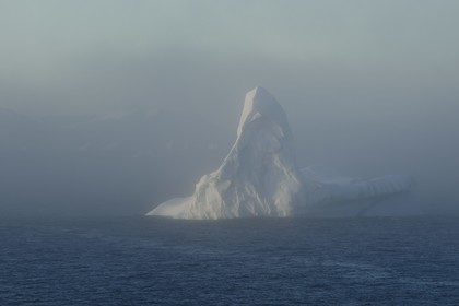 Groenland, cote Nord-Ouest, Murchison sund, iceberg au large de Kiatak (Northumberland Island)