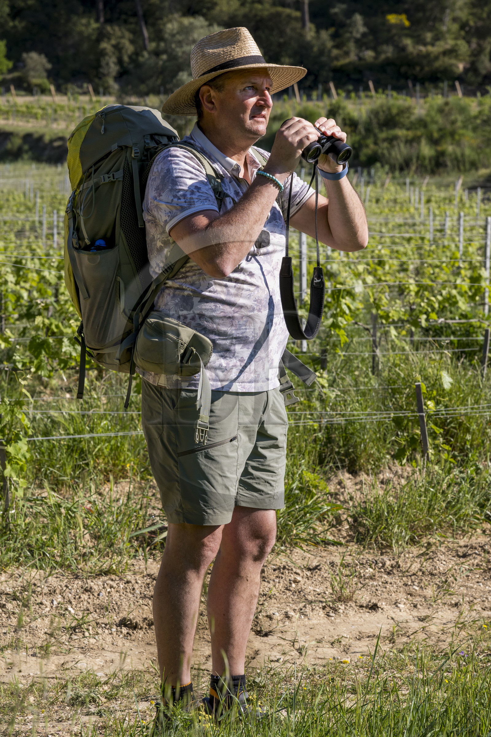 France, Vaucluse (84), Dentelles de Montmirail, Beaumes-de-Venise, randonneurs observant le versant Sud de la montagne des Dentelles Sarrasines et le Clapis