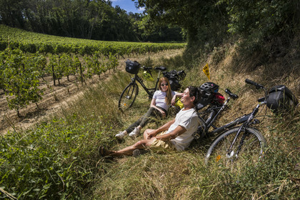France, Maine-et-Loire (49), vallée de la Loire classée au Patrimoine Mondial par l'UNESCO, Dampierre à l'Est de Saumur, pause pendant une randonnée à bicyclette dans le vignoble des coteaux de la Loire
