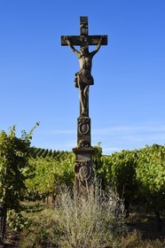 France, Bas Rhin, the Alsace Wine Route, Nothalten, Calvary in the vineyard of the Grand Cru Muenchberg
