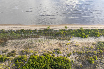 France, French Guiana, Kourou, wetlands, forests and savannas protected within the space centre and managed by the National Forestry Office (ONF), it is bordered to the Northeast by the sandy beach (aerial view)