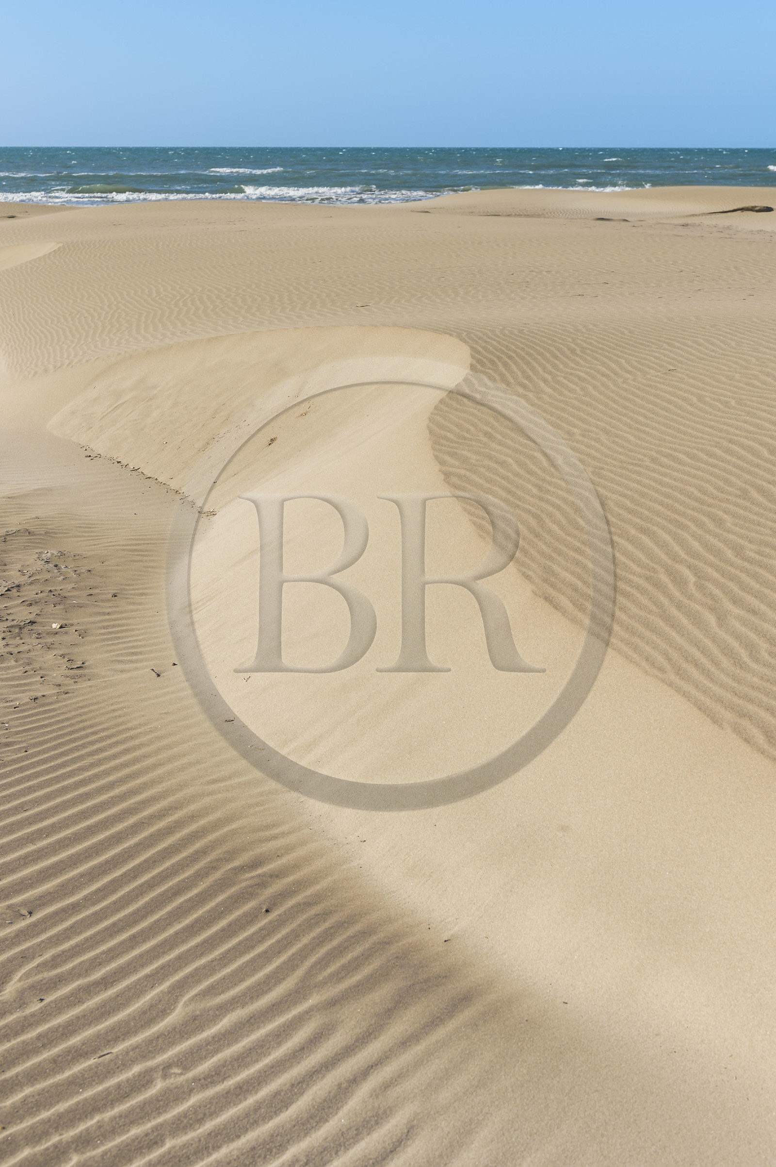 France, Gard (30), massif dunaire camarguais de la Pointe de l'Espiguette en bord de mer