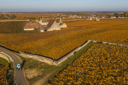 France, Cote d'Or, cultural Landscape of the climates of Burgundy listed as World Heritage by UNESCO, Vougeot, Route des Grands Crus (road of Vintage Wines), the vineyard and the Chateau du Clos de Vougeot (aerial view)