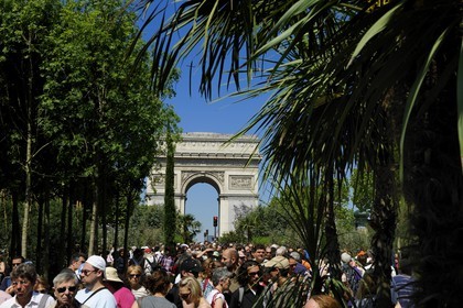 France, Paris (75), opération Nature Capitale 2010 sur les Champs-Elysées
