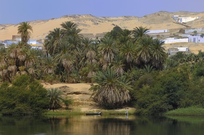 Egypt, Upper Egypt, Nile Valley, the Nile river between Kom Ombo and Aswan