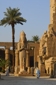 Egypte, Haute Egypte, vallée du Nil, Louxor, Karnak, classé Patrimoine Mondial de l'UNESCO, colosse de Ramses II