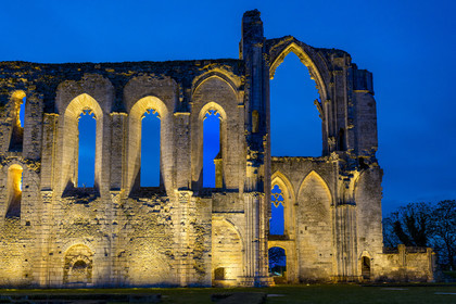 France, Vendée (85), Parc Interrégional du Marais Poitevin labellisé Grand Site de France, Maillezais, vestiges de l'abbaye Saint-Pierre de Maillezais