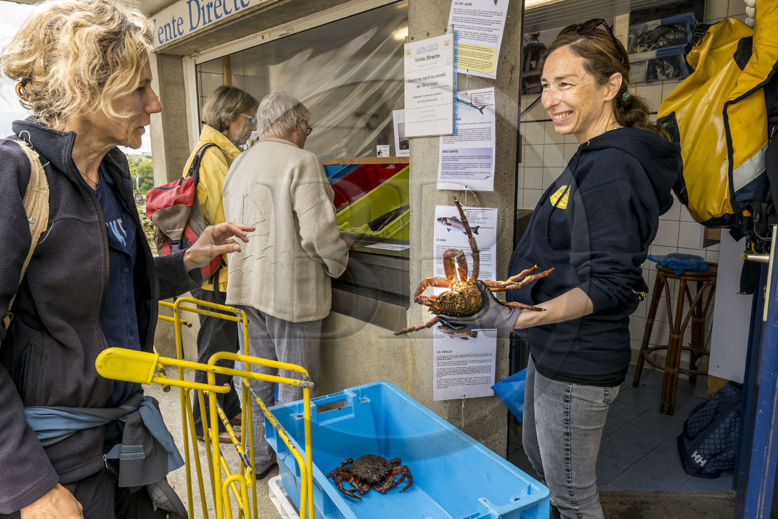 France, Finistère, Iroise Sea, Ouessant Island, the town of Lampaul, Ondine Morin, guide, speaker and fisherman in front of her fish and shellfish stall