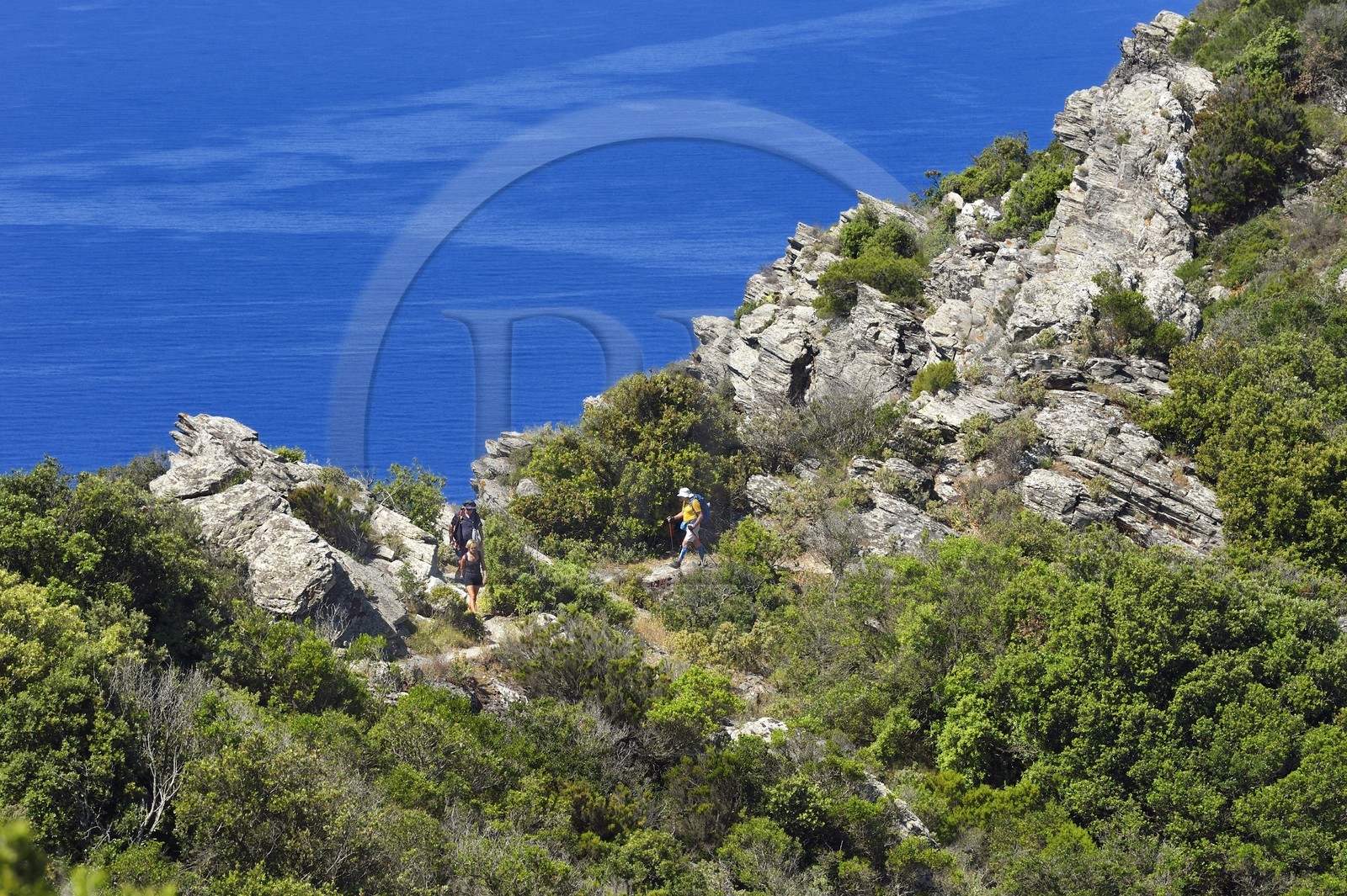 France, Var (83), Six-Fours-les-Plages, randonnée dans le massif du Cap Sicié, randonneurs sur le sentier des cretes de Roumagnan France, Var (83), Six-Fours-les-Plages, randonnée dans le massif du Cap Sicié, randonneurs sur le sentier des cretes de Roumagnan