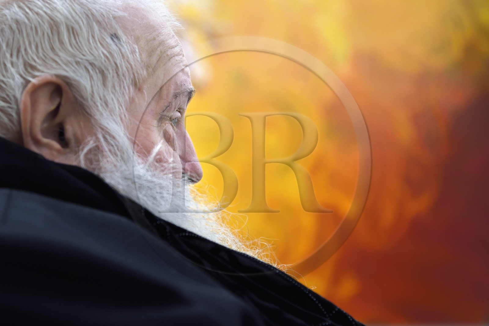 France, Paris (75), Galerie RX, Hermann Nitsch, artiste contemporain autrichien, cofondateur du mouvement Wiener Aktionismus (Actionnisme viennois)