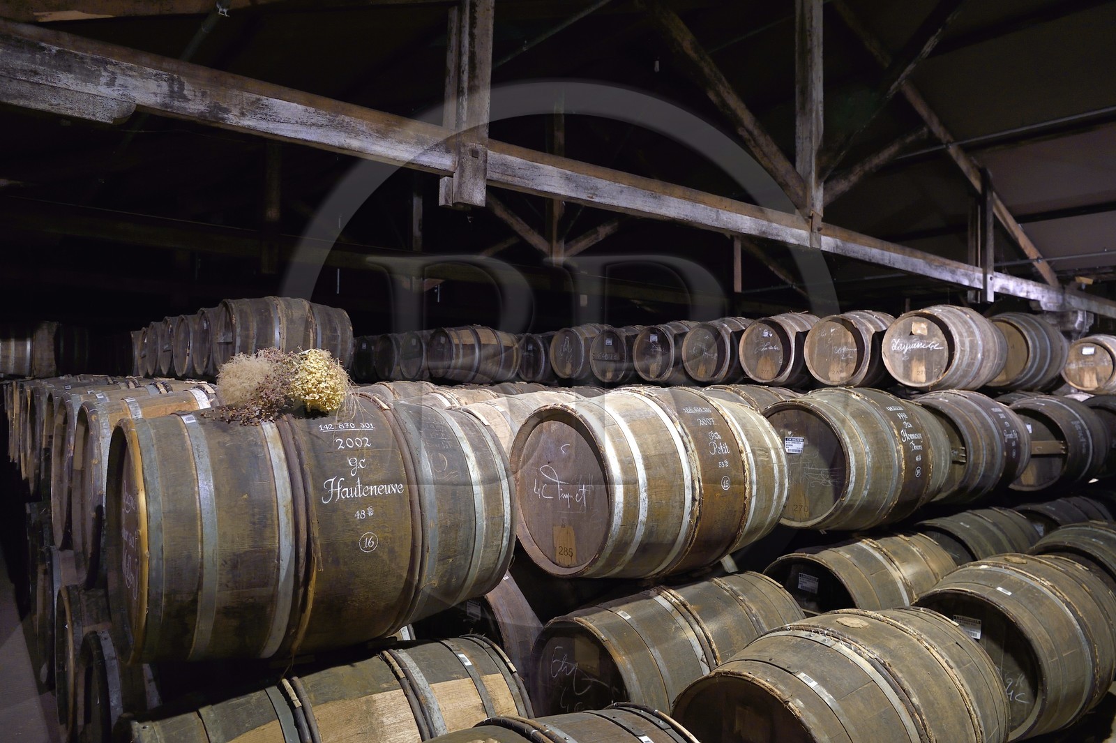 France, Charente (16), Cognac, tonneaux stockés dansles chais de vieillissement de la Maison de cognac Hennessy