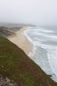 Etats-Unis, Californie, Moss Beach sur la Highway n°1 au sud de San Fransisco