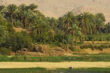 Egypt, Upper Egypt, Nile Valley, fishing barque on the Nile river between Luxor and Esna