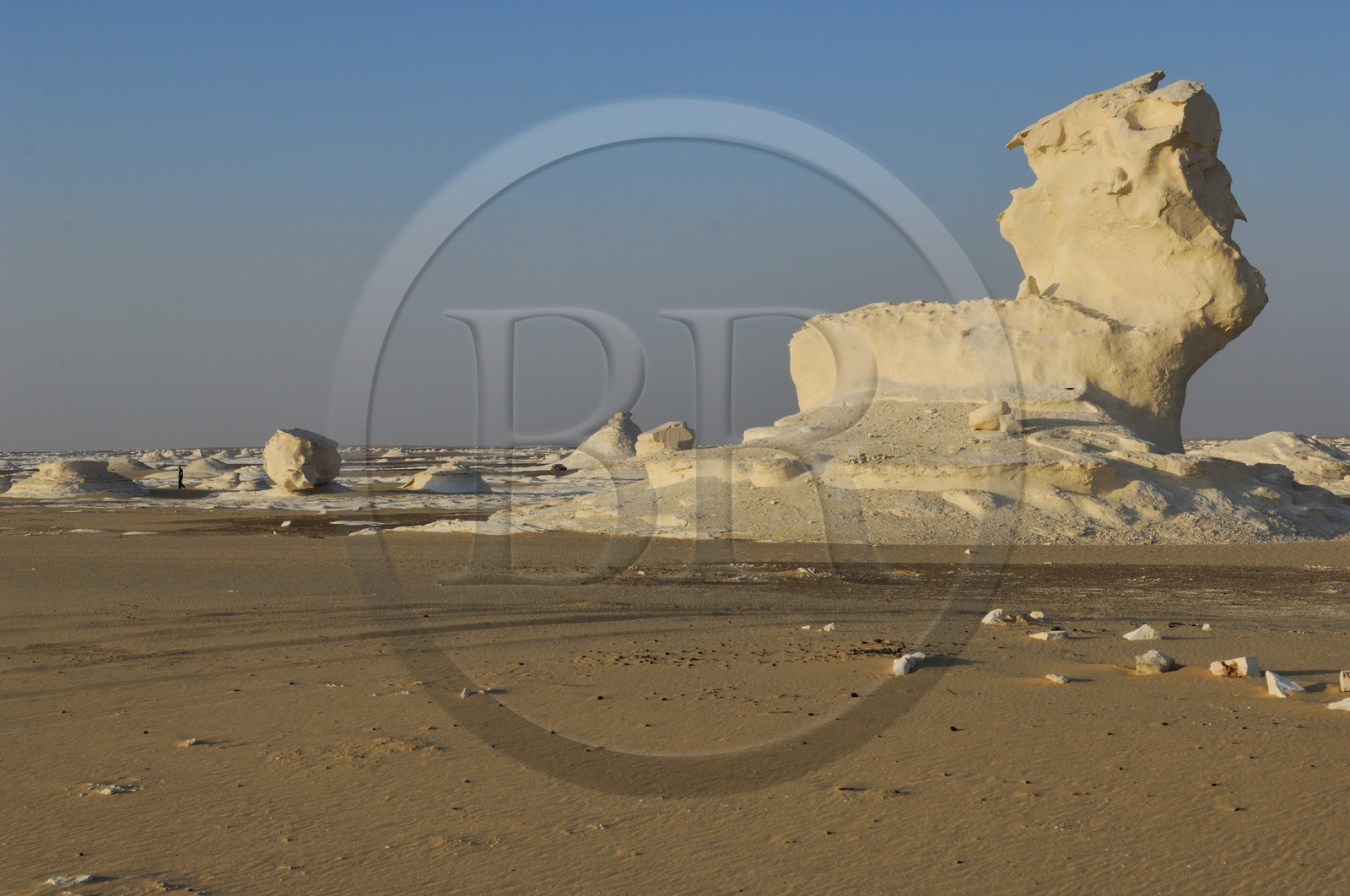 Egypte, désert libyque, le Désert Blanc au nord de Farafra