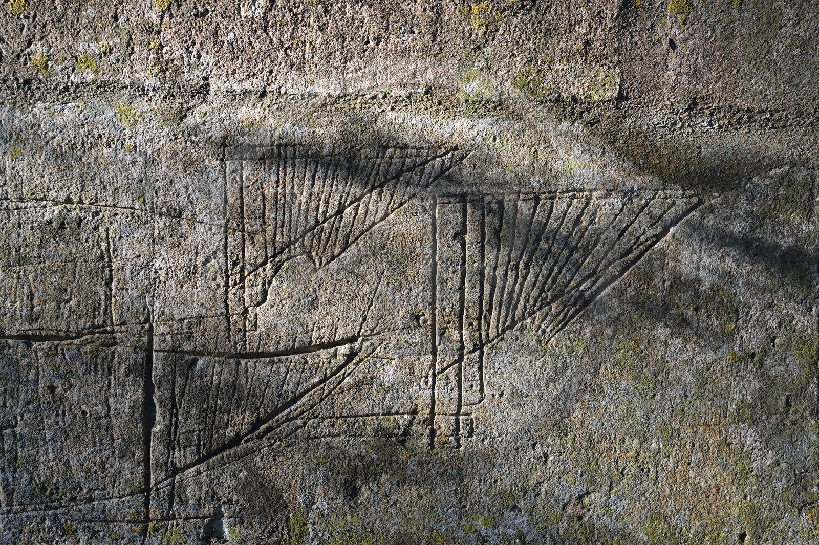 France, Charente (16), Saint-Simon, plan de gabarre gravé sur un mur du port de Juac, ébauches de gouvernails