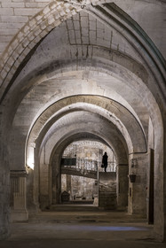 France, Gard (30), Saint-Gilles du Gard, église abbatiale de Saint-Gilles du XIIème-XIIIème siècle, classée Patrimoine Mondial de l'UNESCO au titre des chemins de Saint-Jacques de Compostelle en France, crypte ou église basse abritant le tombeau de Saint Gilles
