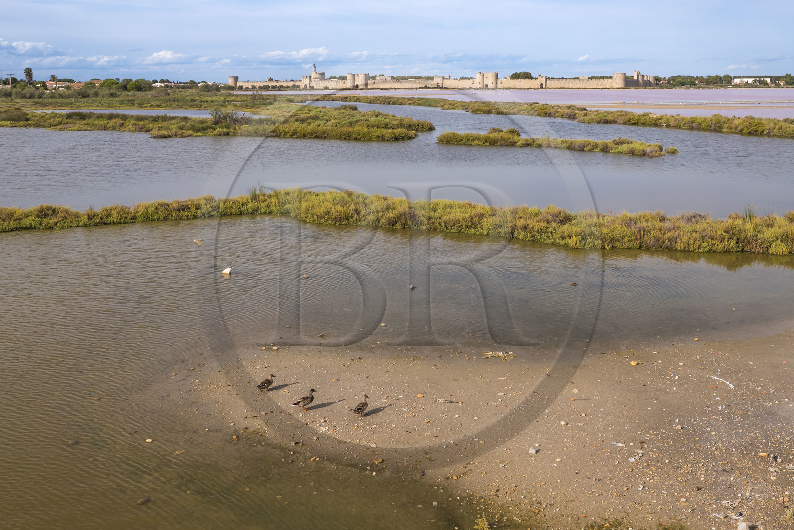 France, Gard (30), Aigues-Mortes, la ville médiévale entourée par ses remparts en bordure des marais salants (Salins du Midi) (vue aérienne)
