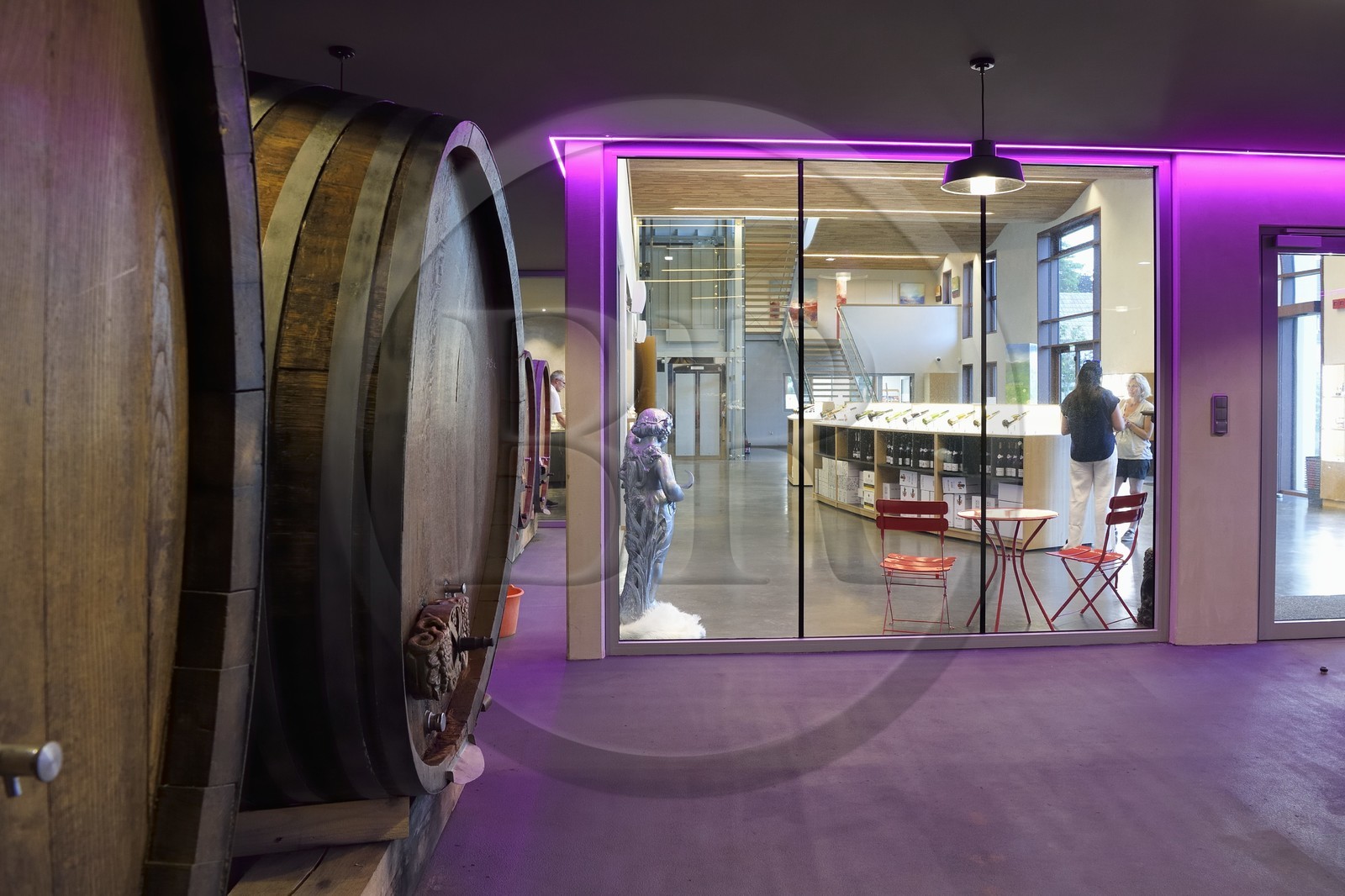 France, Haut-Rhin (68), Route des vins d'Alsace, Voegtlinshoffen, Maison Joseph Cattin, domaine viticole