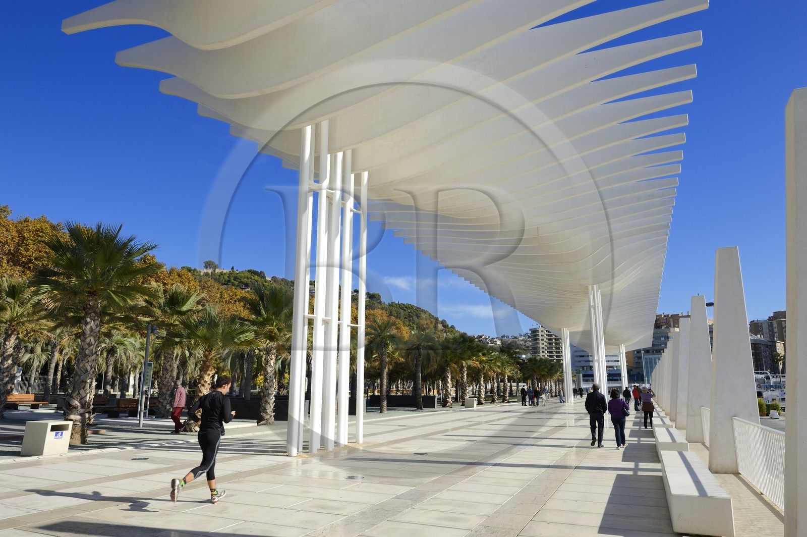 Espagne, Andalousie, Malaga, le front de mer sur le port, Palmeral de las Sorpresas