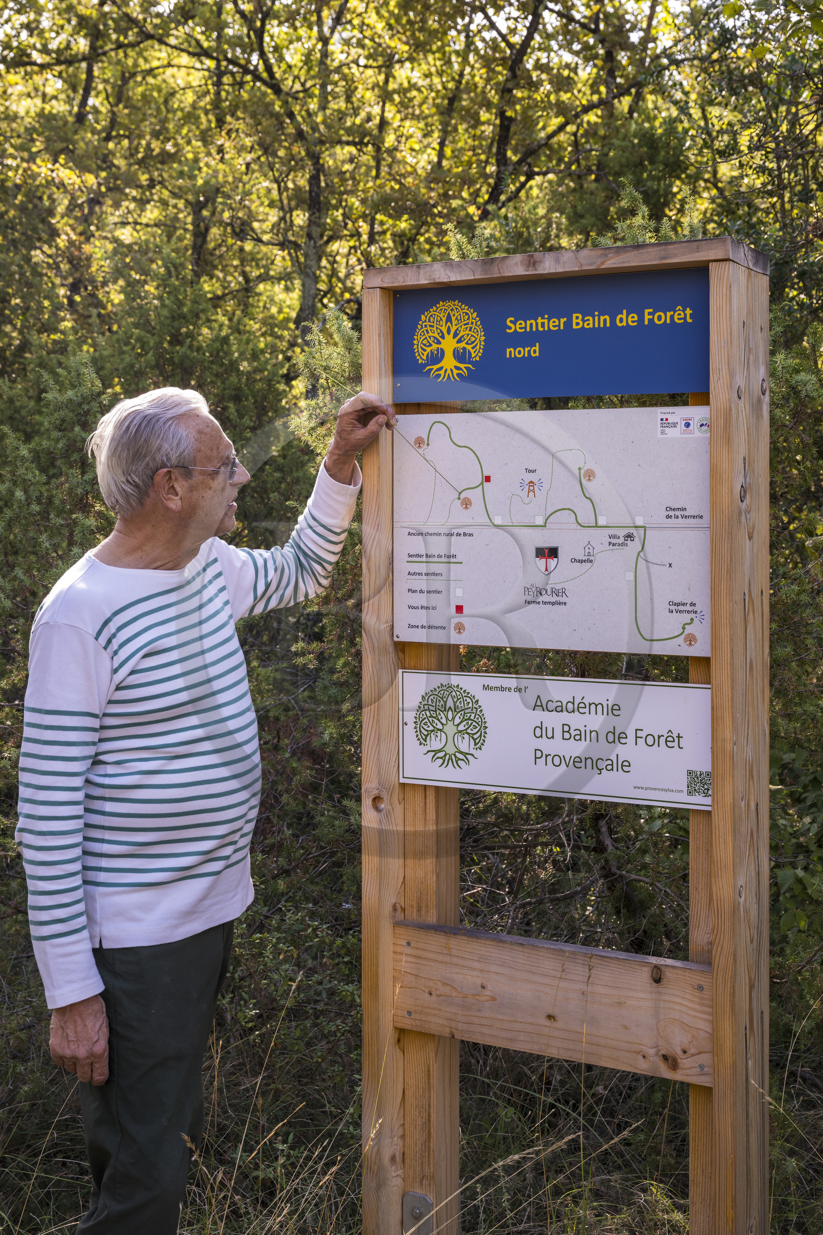 France, Var (83), Provence Verte, Bras, Académie du Bain de Forêt Provençale, forêt du domaine Le Peyrourier - une campagne en Provence