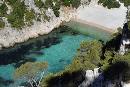 France, Bouches du Rhone, Marseille, National Park of the Calanques, Calanque En Vau (cove) and its beach (request for authorization necessary before publication)