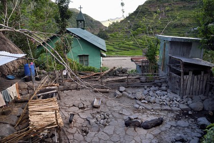 Philippines, province d'Ifugao, village de Batad, cochons à l'arrière de l'église