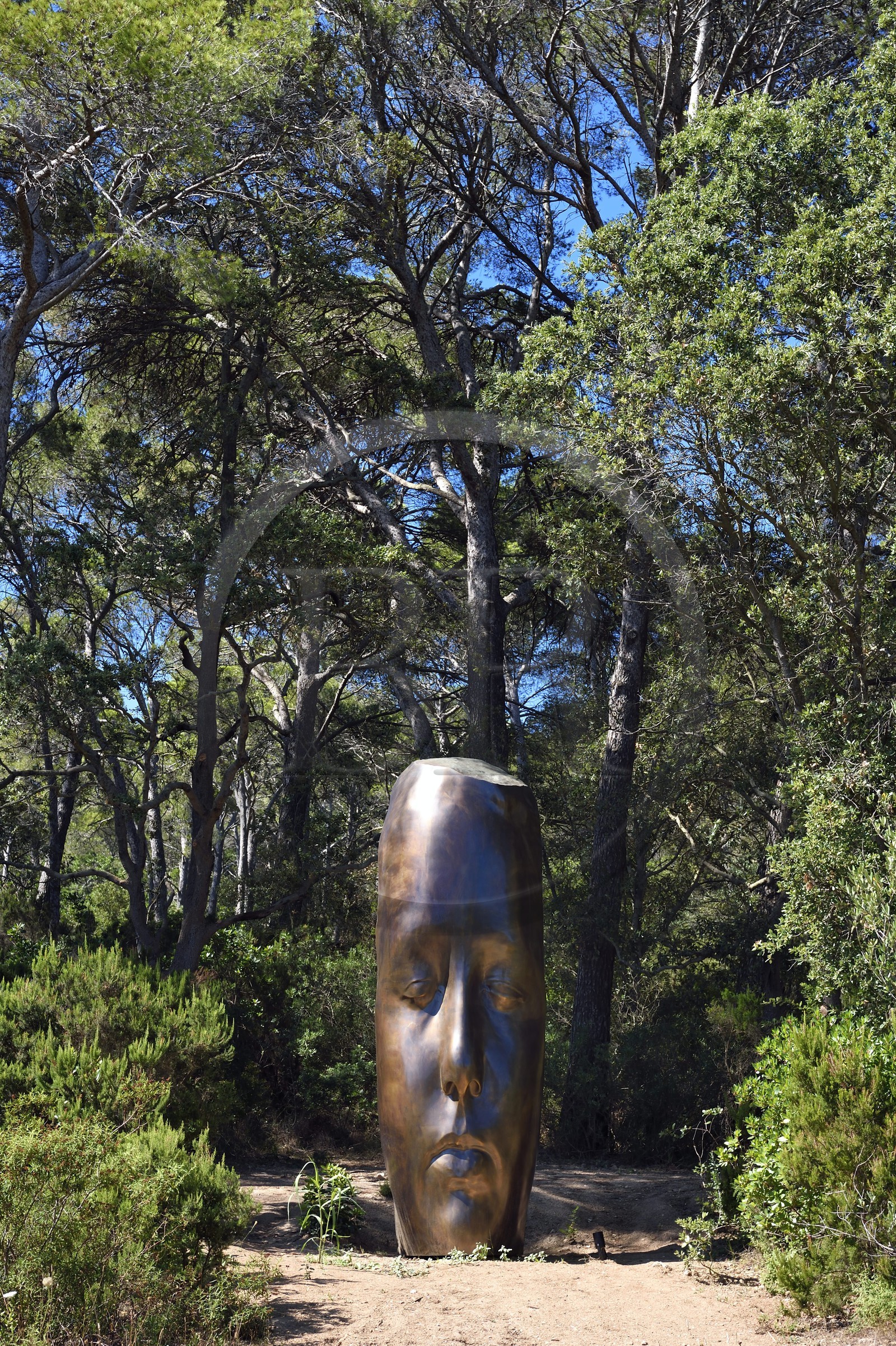 France, Var (83), Iles d'Hyères, parc national de Port Cros, Ile de Porquerolles, la Fondation Carmignac, une sculpture de Les trois alchimistes de Jaume Plensa