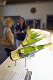 France, Haut-Rhin (68), Route des vins d'Alsace, Voegtlinshoffen, Maison Joseph Cattin, domaine viticole