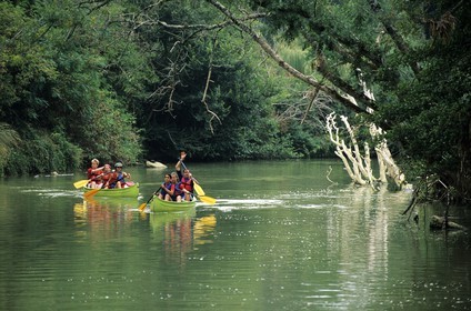 France, Gers, canoe on the Baïse river next to Beaucaire