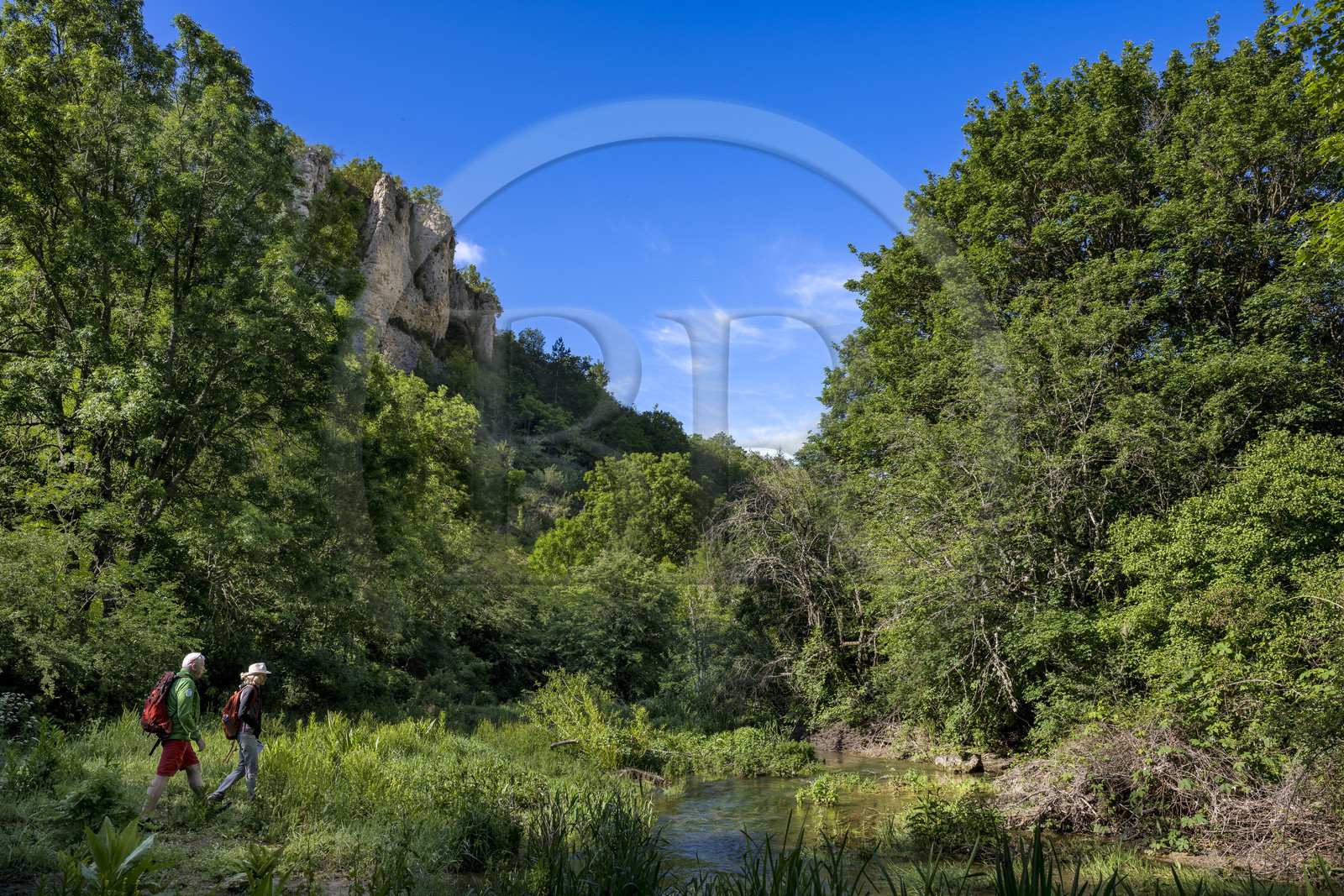 France, Vaucluse (84), Parc naturel régional du Mont Ventoux, Monieux, Gorges de La Nesque, randonnée le long de la Nesque