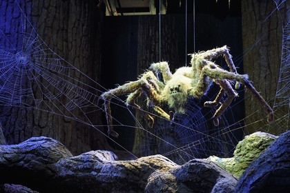 United Kingdom, Hertfordshire, Leavesden, Leavesden Film Studios, Harry Potter Studio Tour London, the scene of the eight Harry Potter movies' making of, the giant Aragog spiders in the mythical Forbidden Forest