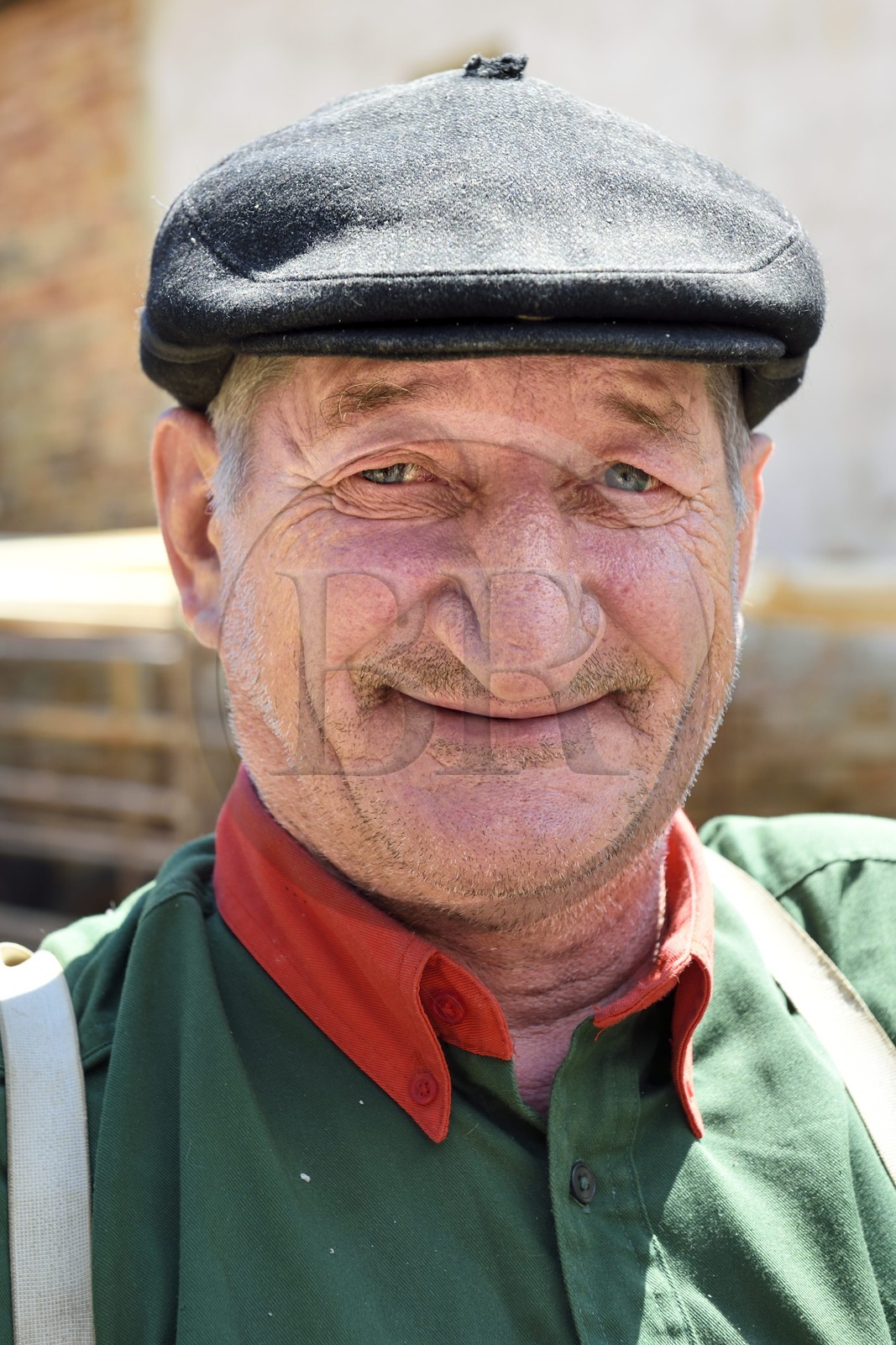 Roumanie, Transylvanie, région de Sighisoara, village de Movile, fermier