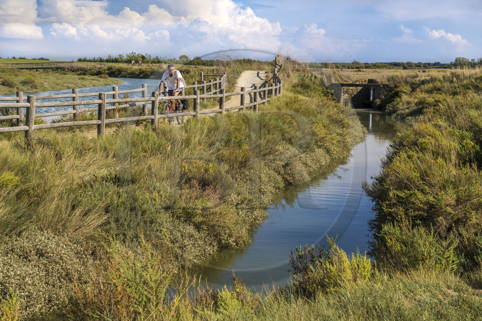 France, Vendée (85), Talmont-Saint-Hilaire, marais de la Guittière dans l'arrière pays de la Pointe du Payré (vue aérienne)