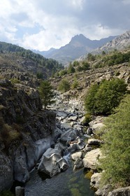 France, Haute Corse, Niolu (Niolo) region, swimming in the Golo river around the Genoese bridge Ponte Altu