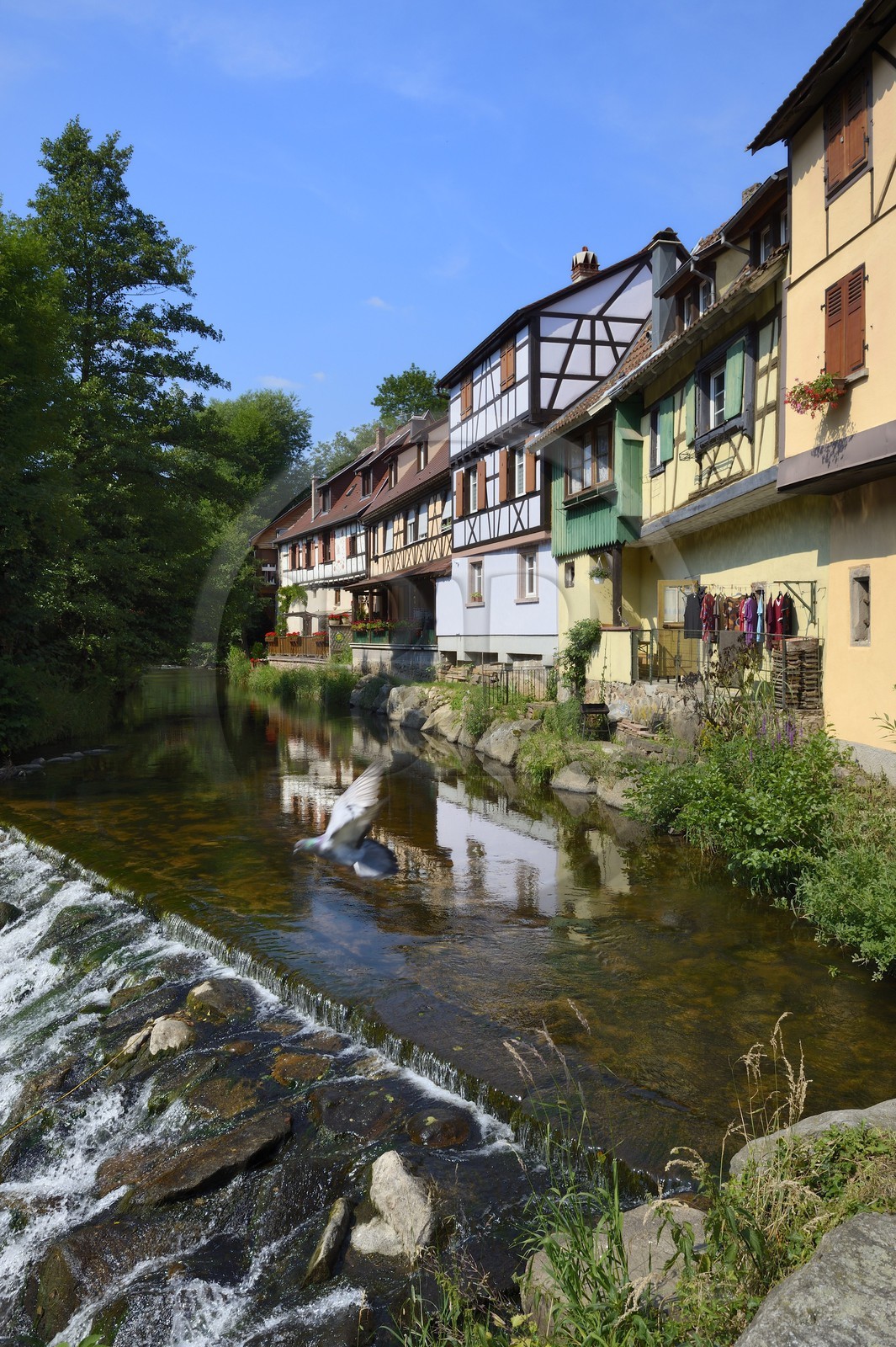 France, Haut-Rhin (68), Kaysersberg, maisons traditionnelles au bord de la rivière Weiss France, Haut-Rhin (68), Kaysersberg, maisons traditionnelles au bord de la rivière Weiss