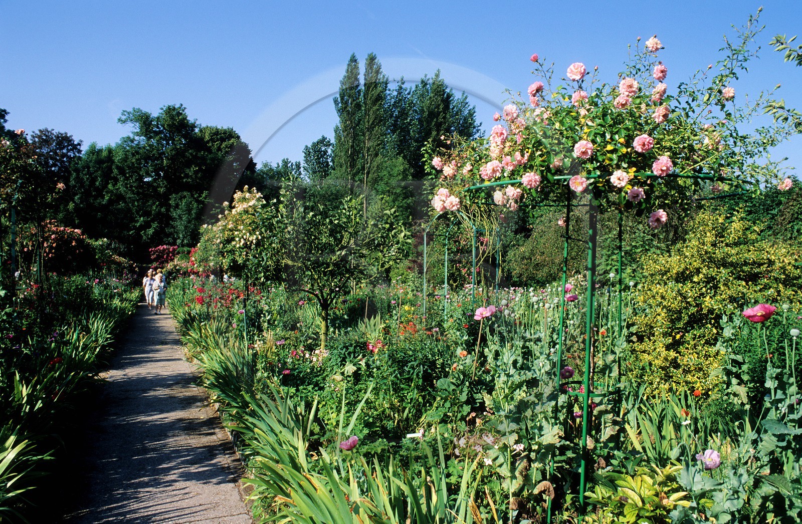 France, Eure (27), Giverny, jardin de Claude Monet