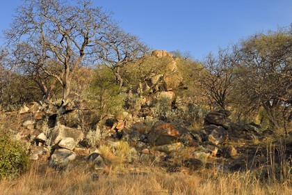 Zimbabwe, Matabeleland South Province, Matobo or Matopos Hills National Park, listed as World Heritage by UNESCO, rocky chaos