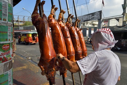 Philippines, Luzon island, Manila, La Loma district, spit-roasted suckling pig (lechon)