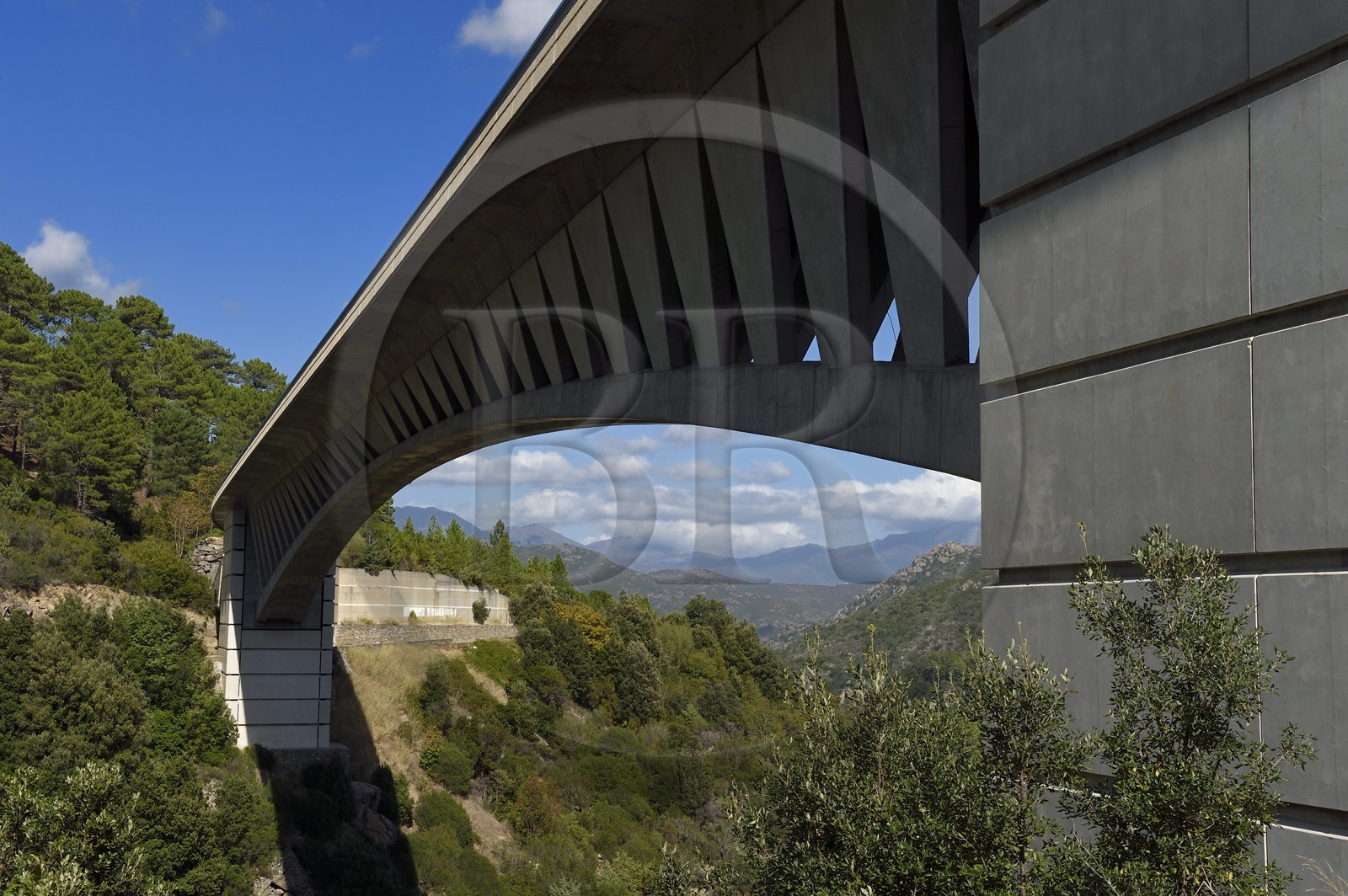 France, Haute-Corse (2B), Vivario, pont routier du Vecchio (Vechju)