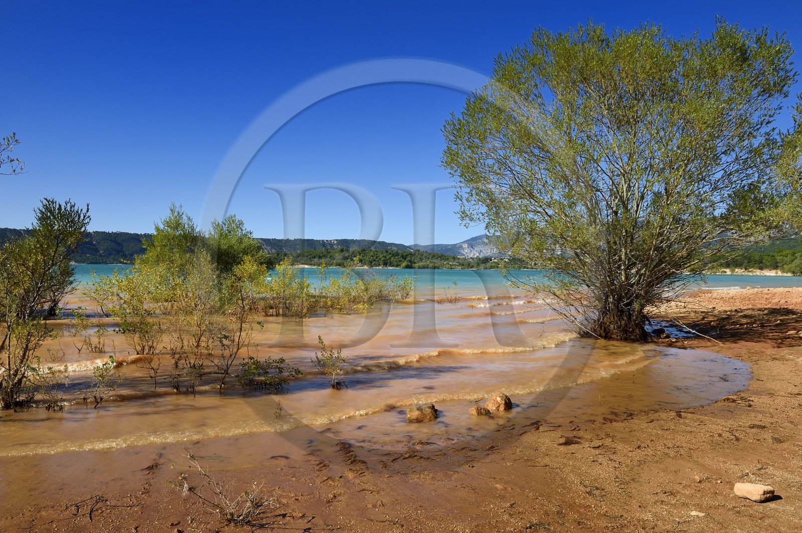 France, Var (83), Parc Naturel Régional du Verdon, lac de Sainte Croix