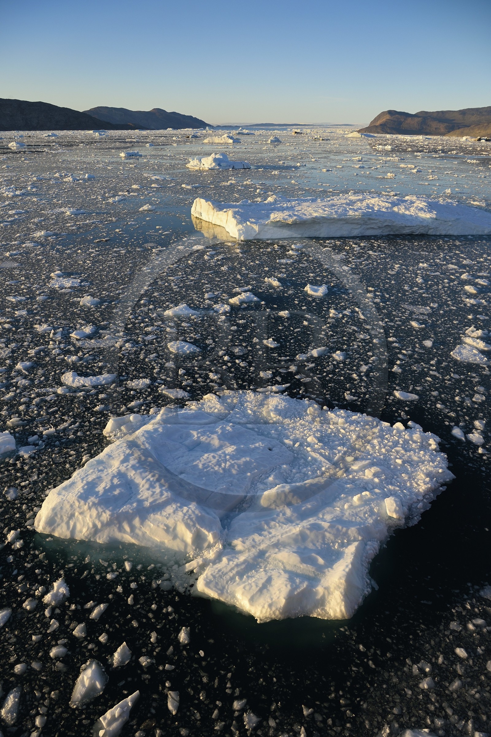 Groenland, cote ouest, baie de Disko, icebergs dans la baie de Quervain, le glacier Kangilerngata sermia voisin du glacier Eqip Sermia (glacier Eqi) en arrière plan