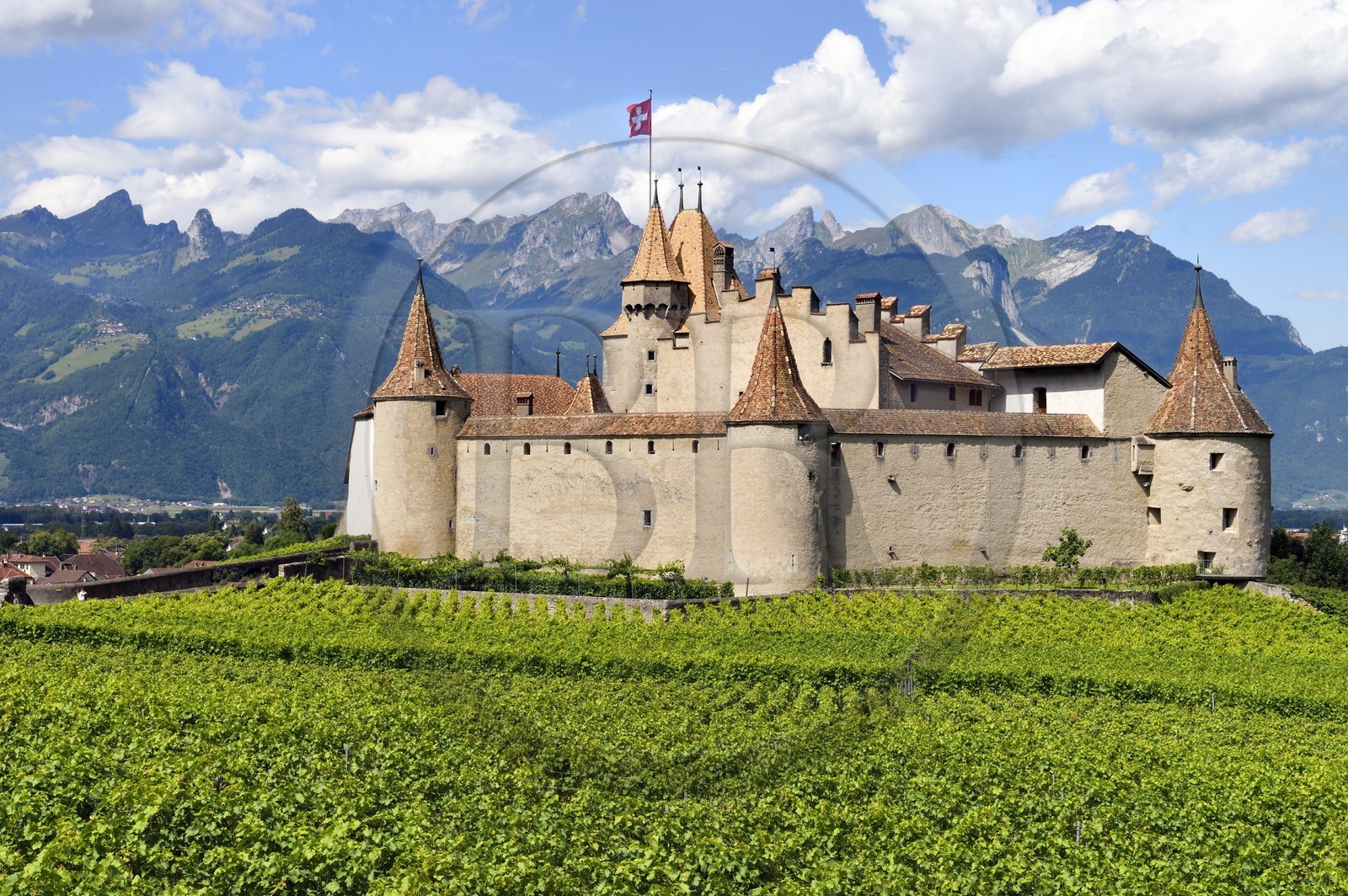 Suisse, Canton de Vaud, Aigle, le chateau entouré par le vignobles, il abrite le musée de la Vigne et du Vin