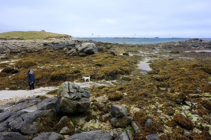 France, Finistère (29), Landeda, les dunes de Sainte-Marguerite