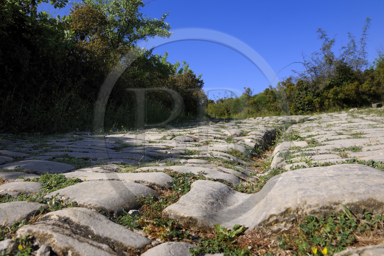 France, Hérault (34), près de Lunel, Oppidum d'Ambrussum ancien oppidum gaulois situé sur la Voie Domitienne (Via Domitia), rue pavée usées par le passage des chariots France, Hérault (34), près de Lunel, Oppidum d'Ambrussum ancien oppidum gaulois situé sur la Voie Domitienne (Via Domitia), rue pavée usées par le passage des chariots
