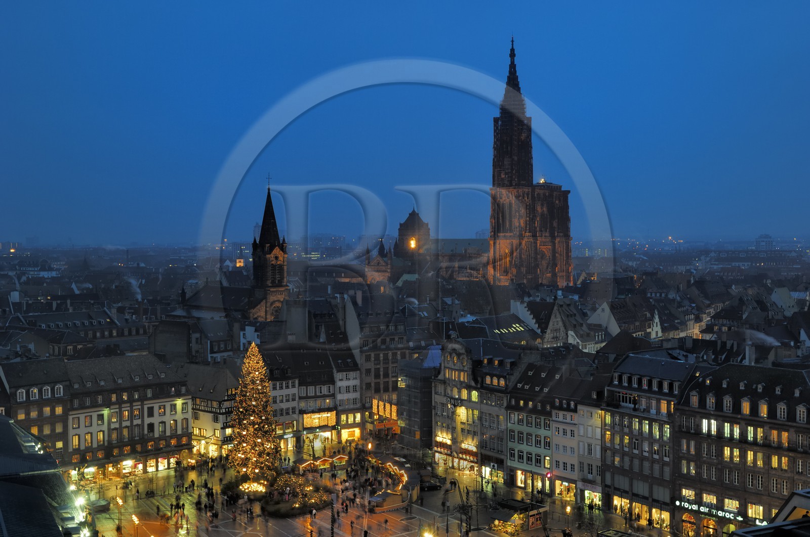 France, Bas Rhin (67), Strasbourg, le Grand Sapin de Noel de la place Kleber et la cathedrale