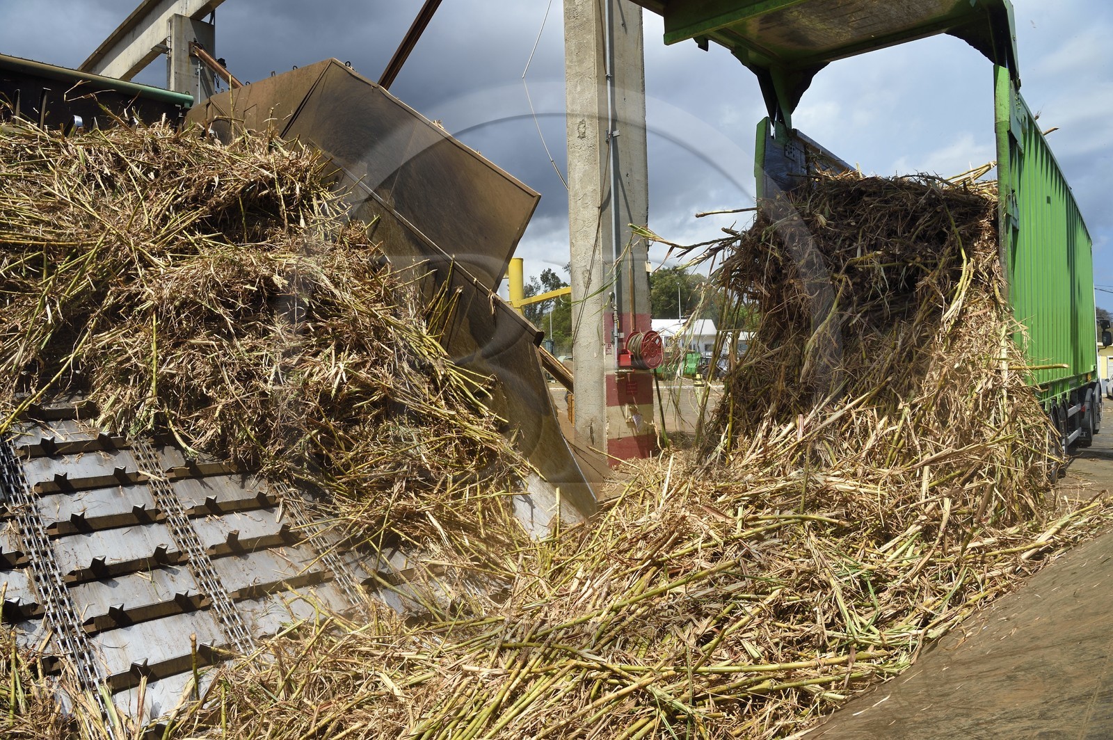 France, Ile de la Reunion, Saint-Louis, l'usine sucrière du Gol, déchargements de la canne à sucre des cachalots (camions ou remorques)