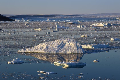Groenland, cote ouest, baie de Disko, icebergs dans la baie de Quervain au coucher de soleil et le glacier Kangilerngata sermia en arrière plan